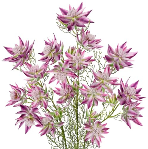 Arborus Kunstblumen Zweige Deko Künstlicher Stiel Unechte Blumen für Vase | 67 CM Lila Kunstblumen Blumenstrauß zum Basteln Brautblume Serruria für Tisch Regal Deko im Zimmer Büro Hotel Hochzeit Party