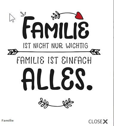 20 Serviette Sprüche Gäste Familie Geburtstag Party Essen Text 33 x 33 cm