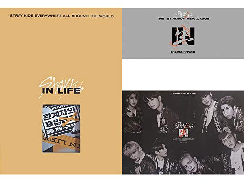 STRAY KIDS In Life (Standardversion B Type) In