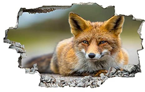 Fuchs Wandtattoo 3D Durchbruch Tier Wandsticker Wanddekoration selbstklebend Modern Abnehmbare Wandaufkleber Deko Schlafzimmer Wohnzimmer Kinderzimmer Kunst Wohnkultur Wandbilder