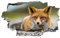 Fuchs Wandtattoo 3D Durchbruch Tier Wandsticker Wanddekoration selbstklebend Modern Abnehmbare Wandaufkleber Deko Schlafzimmer Wohnzimmer Kinderzimmer Kunst Wohnkultur Wandbilder