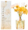 Cocorrína Blume Raumduft mit 8 Duftstäbchen 250ml- Marokkanischer Bernstein, Natürlich, Langanhaltend, Reed Diffuser für Haus Schlafzimmer Büro Badezimmer Regal Dekor (Master-Kollektion)