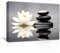 CXHOSTENT Zen Leinwandbilder weißer Lotus und Spa Steinblüte im Wasser Kunstdrucke für Yoga Meditation spiritueller Raum gerahmt (A, 50.00 x 75.00 cms)