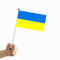 Flagge Ukraine, 50 Teile, kleine Flagge, Ukraine, 14 x 21 cm