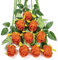 DuHouse Künstliche Seidenrosen, 10 Stück, Lange Stiele für Hochzeit, Party, Dekoration (gebranntes Orange)