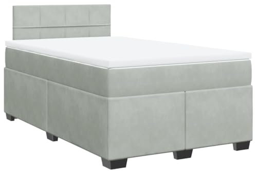 vidaXL Boxspringbett, Polsterbett Bett mit LED Matratze Kopfteil, Bettgestell mit Lattenrost, Doppelbett für Schlafzimmer, Hellgrau 120x200cm Samt
