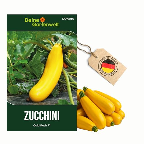 Zucchini Gold Rush F1 Samen - Cucurbita pepo - Zucchinisamen - Gemüsesamen - Saatgut für 7 Pflanzen