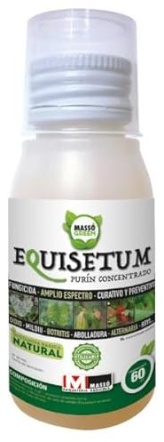 Fungicida Equisetum 60 cc Massó