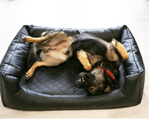 Beckers Beste Dream Exklusiv Hundebett gesteppt (M)
