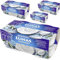 Elinas Joghurt nach griechischer Art Natur 600 Gramm x 4 Stück