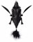 Savage Gear 3D Bat - Fledermaus Wobbler zum Spinnfischen auf Hecht & Barsch, Topwater Bait, Oberflächenköder, Hechtköder, Farbe:Black, Länge/Gewicht:10cm - 28g