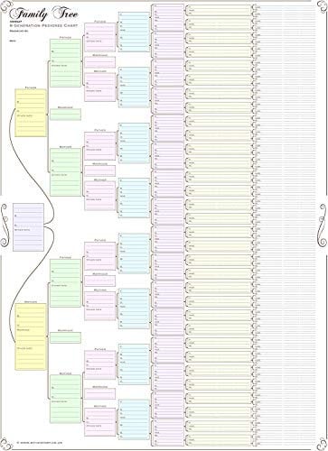 My History Stammbaumtafel, kompakt, 8 Generation, 120 g Papier (farbig, gefaltet)