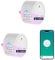 XENON Matter Smart Plug, Smart Socket, Alexa Plug for Applee Home, Alexa, Google, SmartThingss, Smart Home Automation, Timer and Schedule, 2.4G Wi-Fi Only, 13A, 2-Pack