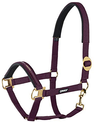 Halfter SLIDING BUCKLE CORE