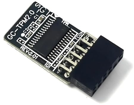 JINTAI TPM 2.0-Modul LPC 12Pin mit Infineon SLB9665 Windows 11-Upgrade-Ersatz für Gigabyte-Motherboard GC-TPM2.0_S (12pin-1) für X299X AORUS MASTER/X299 DESIGNARE EX/X299X DESIGNARE 10G/