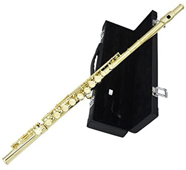Querflöte Goldene 16 Löcher C Tone Flöte Mit E Key Wolorwind Instrument Geschlossene Loch Vergoldete Tasten Mit Fall