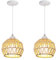 LIGKIN 2 Piezas Lámpara Colgante Industrial Vintage E27 Lámpara de Techo Cuerda Metal Pantalla Jaula Retro Lámparas para Restaurante Pasillo Dormitorio, Blanco