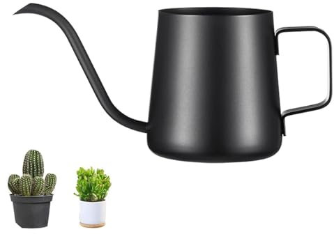GIONAR Mini arrosoir de 350 ml pour plantes d'intérieur - En acier inoxydable - Long bec - Arrosoir de jardin pour plantes d'intérieur et plantes grasses