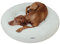 Holly Hundebett - Kratzfest, waschbar, langlebig - Luxuriöser Bouclé Stoff - Donut Hundebett in Cocoon Design - Ideale Unterstützung für Hals & Wirbelsäule - Hochwertiges Interior (S/M, Creme)