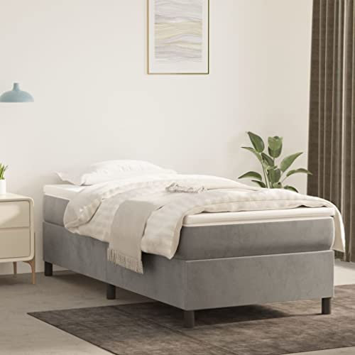 Coavain Boxspringbett Hellgrau 90x200 cm Jugendbett Einzelbett Polsterbett Betten Schlafzimmer Bett Modernes Bettgestell für Erwachsene & Jugendliche Bettgestellrahmen
