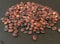 Chinese Redbud Baum Seed Pack, Cercis chinensis Samen Ideal für Bonsai-Bäume 10