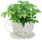 Cunlvyyds Vintage Teacup Planter, Iron Art Garden Pots, Decorative Succulent Plant Holder for Indoor and Outdoor
