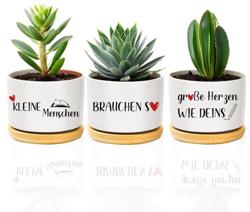 coTaSiEY Lehrerin Geschenk, Beste Lehrer Lehrerin Blumentopf Blumentöpfe Dankeschön Erzieher Abschiedsgeschenk Weihnachten Geschenk Zum Abschied Erzieher Erzieherin Ideen Teacher Appreciation Gifts