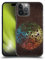 Head Case Designs Offizielle Brigid Ashwood Wasserhaus 15 Heiliges Symbol Harte Rueckseiten Handyhülle Hülle Huelle kompatibel mit Apple iPhone 14 Pro Max