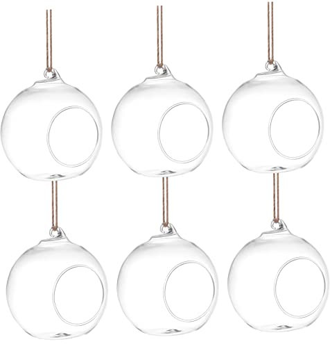 KONTONTY 6stücke Teiliges -Terrarium Für Sukkulenten Hängende Pflanzenhalter Für Stilvolle Wohnkultur Für Büro Und Dekorative Arrangements