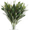 10 Stück Künstliche Olivenzweige, 40cm Simulation Olivenbaum Deko Grüner Olivenbaum Künstlich Deko Olivenbaum Künstlich Künstliche Zweige Deko für Hochzeit,Garten,Haus, Büro, Indoor Outdoor Dekoration