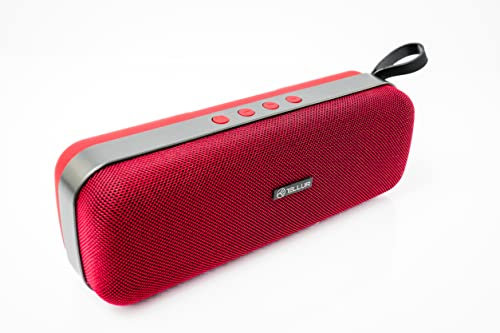 TELLUR Loop Bluetooth Lautsprecher mit Radio, 10W, Kompakte Musikbox Bluetooth mit True Wireless Stereo, Radio Bluetooth Box, Freisprechfunktion, USB, MicroSD/TF-Steckplatz, AUX-Buchse 3,5 mm, BT 5.0