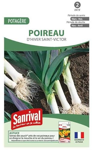 Graines Poireau d'Hiver Saint Victor
