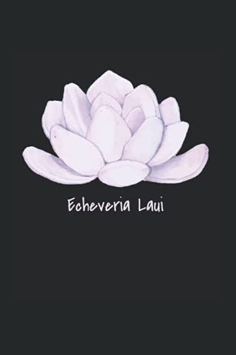 Echeveria laui Sukkulenten: DIN A5 Kariert 120 Seiten / 60 Blätter Notizbuch Notizheft Notiz-Block Sukkulenten Spruch für Botaniker Pflanzenliebhaber