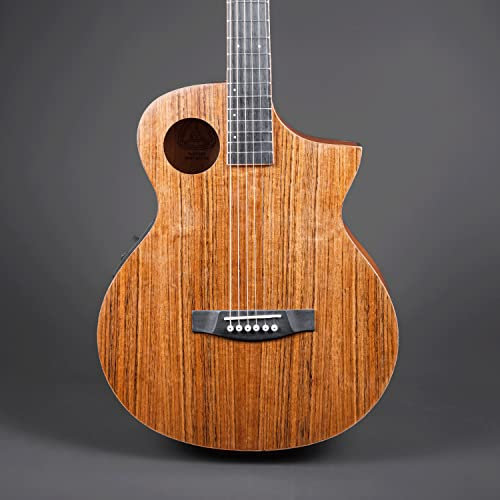 Lindo Neptune SE V2 Elektroakustische Gitarre und gepolsterte Gigbag, Walnuss