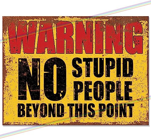 Panneau de bar humoristique en métal avec inscription « Warning No Stupid People » - Accessoire de bar - Pour maison, pub, jardin - Rétro - Décoration murale - Cadeau de fête des pères - 20 cm x 15 cm