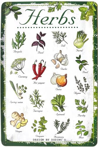 DODINO 20 x 30 cm Cartel de chapa para cocina, decoración de jardín, hierbas, pared, metal