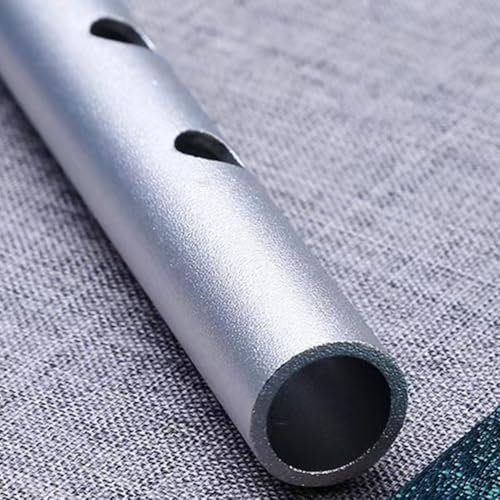 SPORTARC Irische Penny Whistle 6-Loch-Flöte in C/D-Taste, entworfen für Musiker aller Niveaus (B), Silber