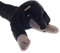 Olivia Rocco Tweed Bulldog Draught Excluder Stopper Jumbo Size Draught-Stoppers Draft Excluders (85 x 143 cms, Dachsund)