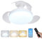 Rosnek Ventilador de techo con iluminación LED de 48 W con ventilador, control de aplicación y control remoto, función de temporizador, ventilador silencioso pequeño para dormitorio
