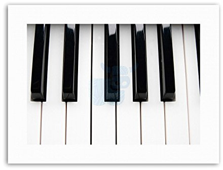 Wee Blue Coo PIANO KEYS BLACK WHITE CLOSEUP MUSIC PHOTO Poster Picture Music Canvas art