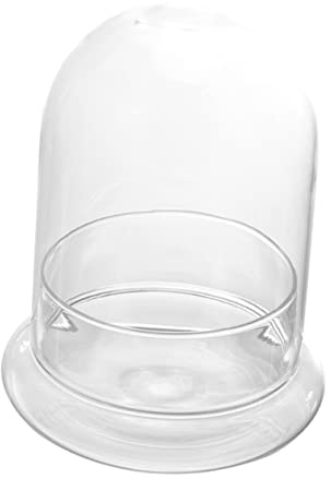 Mikrolandschaftsflasche aus Glas für Blumen und Schlafzimmerdekoration