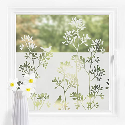 Bilderwelten Fensterfolie Sichtschutz Vögel Gräser 100 x 120 cm Milchglasfolie Sichtschutzfolie Fenster Folie Blickdicht Anti-UV Statisch Haftend Querformat