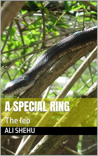 A Special Ring: The leo (English Edition)