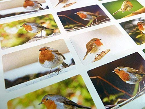 Pack of 24 Robin Self-Stick Envelope Seal Labels, Colourful British Garden Birds Wildlife Stickers for Cards, Craft, Decoration