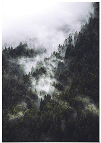 Panorama Poster Nebel im Wald 70x100cm - Gedruckt auf 250g-Papier - Wandbild Wohnzimmer - Papierplakat Schlafzimmer