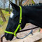 Halfter für Pferd Warmblut, Vollblut, Kaltblut – Stallhalfter, Weidehalfter, 2 Fach verstellbar an Kinnriemen und Genickstück, sicher & reißfest (Hellgrün, Kaltblut)
