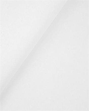 Floralcraft 50 x 75cm Tissue Paper Sheets - White (100 Sheets), Acid Free Gift Wrap Paper Bulk Packaging Paper Sheets for DIY Crafts Birthday Wedding Nursery Party Decorations