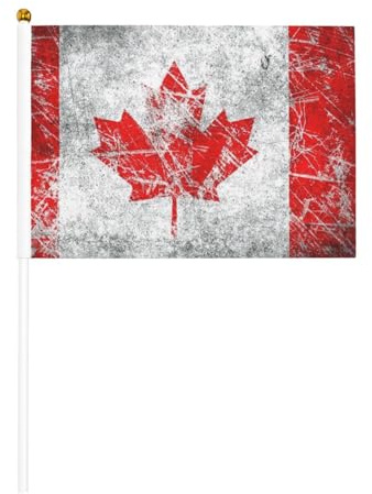 BREAUX Mini mât de drapeau du Canada imprimé à la main, double face, drapeau ondulé à la main, mini drapeau à bâton