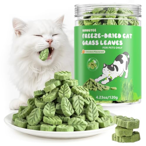 Snack per erba di gatto, 120g bastoncini per erba gatta secchi, snack per la cura dei denti e per la rimozione di peli di gatti, bastoncini per gatti