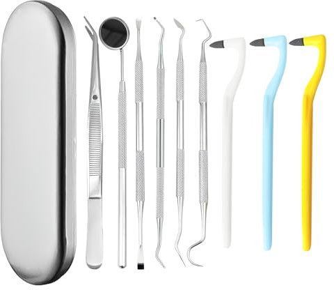 BORISCA 9 Piezas Quita Sarro Dental Kit Limpieza Dental Removedor de Sarro Dental con Estuche Aceros Inoxidables Sarro Dental Limpiador Eliminar Sarro Dental para Adultos, Niños